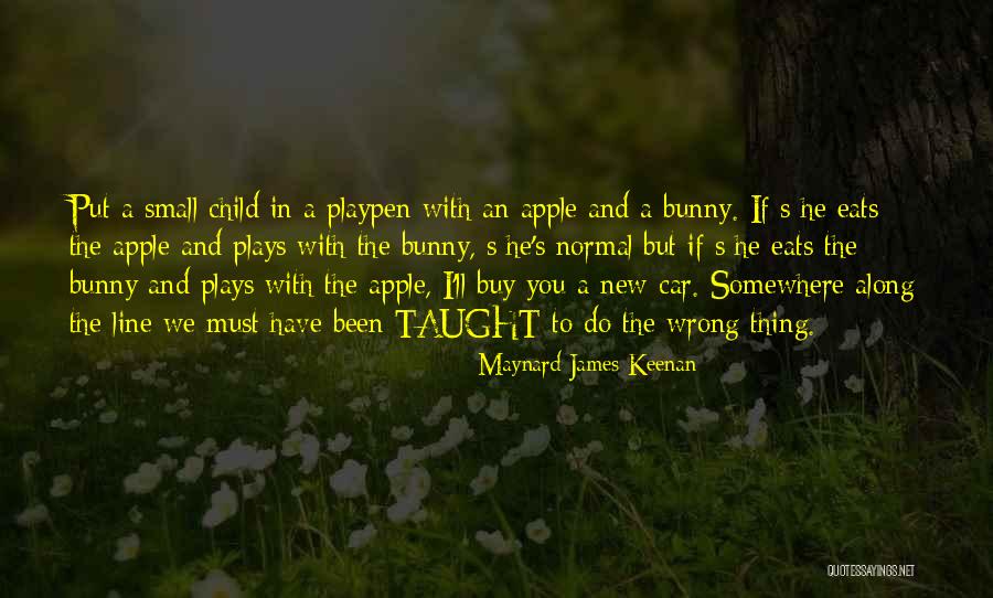 New Normal Quotes By Maynard James Keenan New Normal Quotes By Maynard James Keenan
