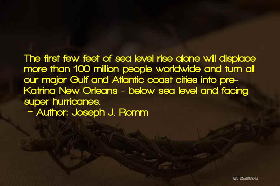 New Orleans Katrina Quotes By Joseph J. Romm