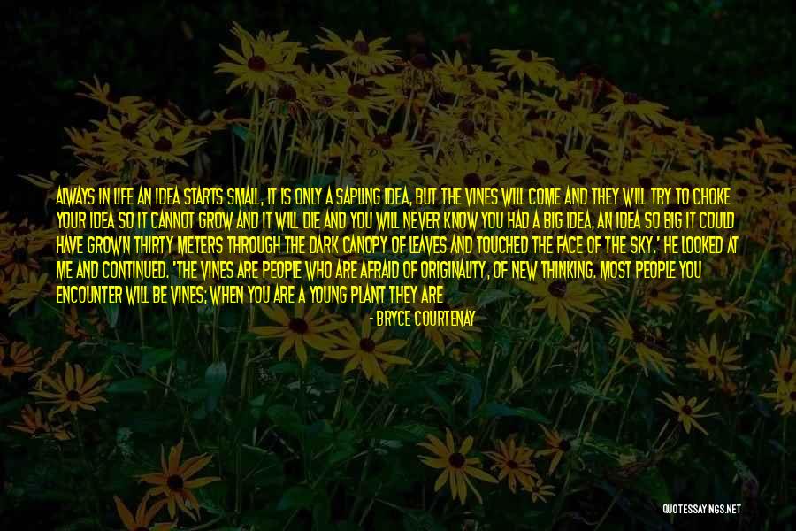 New People In Your Life Quotes By Bryce Courtenay New People In Your Life Quotes By Bryce Courtenay