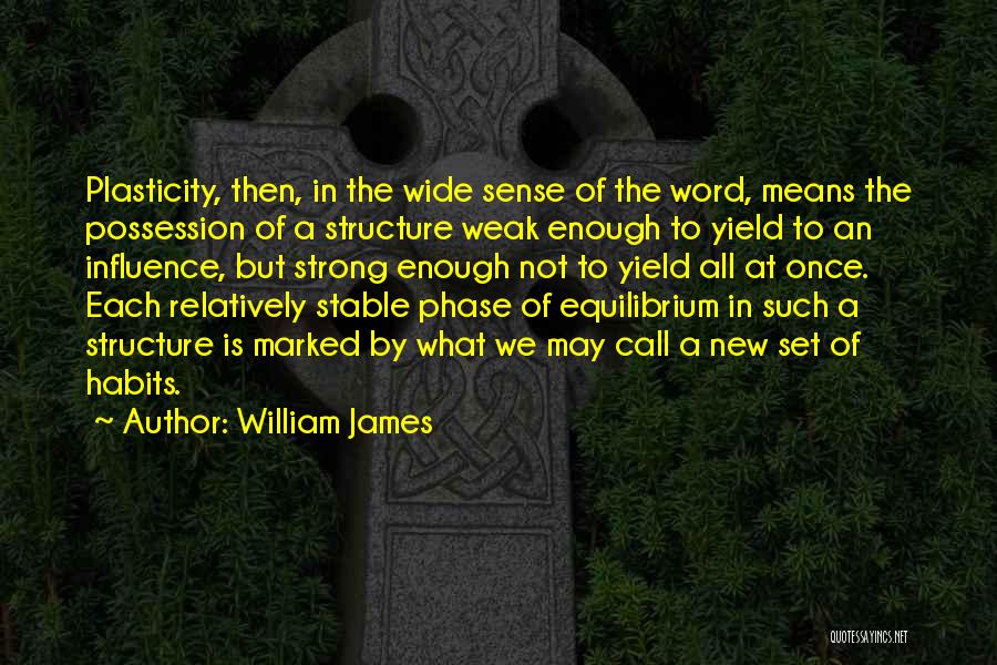 New Phase Quotes By William James