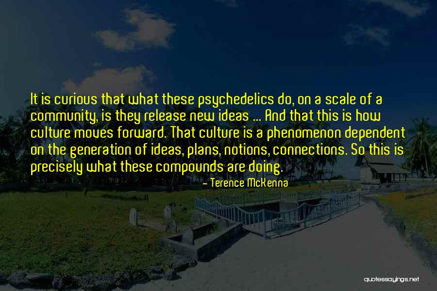New Plans Quotes By Terence McKenna New Plans Quotes By Terence McKenna