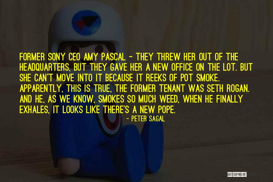 New Pope's Quotes By Peter Sagal New Pope's Quotes By Peter Sagal