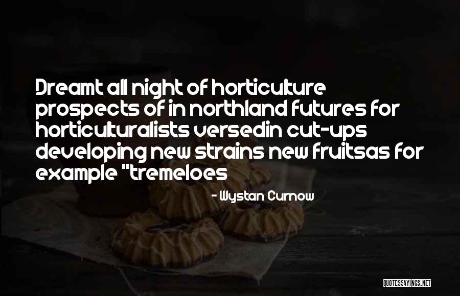 New Prospects Quotes By Wystan Curnow