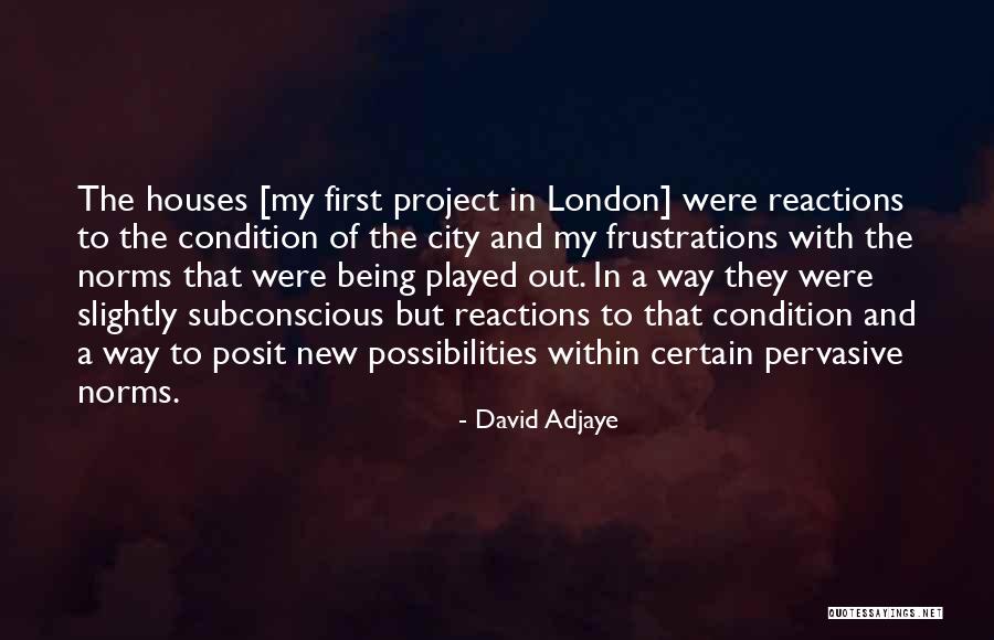 New Reactions Quotes By David Adjaye