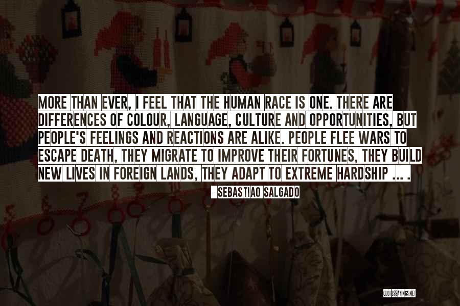 New Reactions Quotes By Sebastiao Salgado