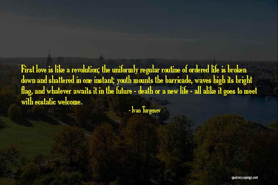 New Revolution Quotes By Ivan Turgenev New Revolution Quotes By Ivan Turgenev