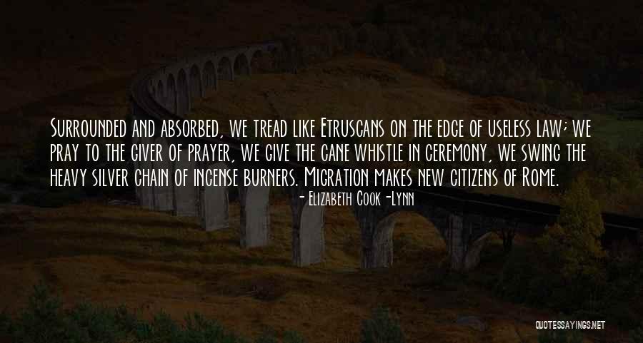 New Rome Quotes By Elizabeth Cook-Lynn New Rome Quotes By Elizabeth Cook-Lynn