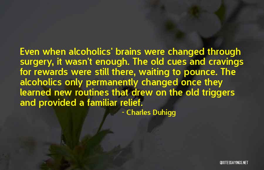 New Routines Quotes By Charles Duhigg New Routines Quotes By Charles Duhigg
