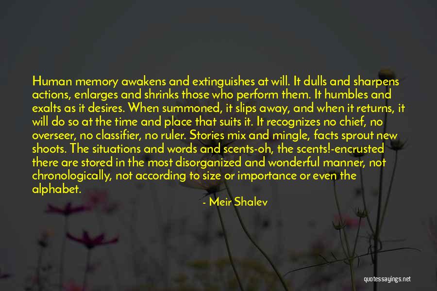 New Situations Quotes By Meir Shalev New Situations Quotes By Meir Shalev
