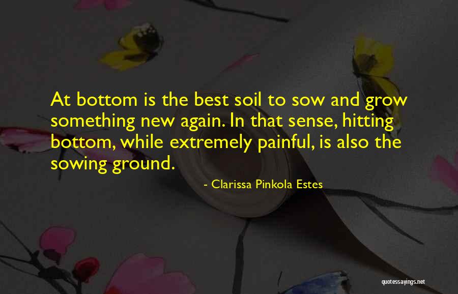 New Soil Quotes By Clarissa Pinkola Estes New Soil Quotes By Clarissa Pinkola Estes