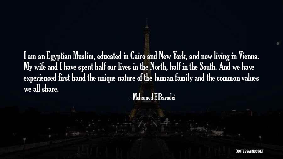 New South Quotes By Mohamed ElBaradei New South Quotes By Mohamed ElBaradei