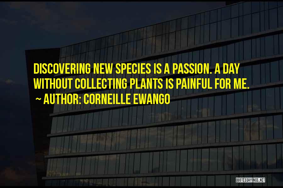 New Species Quotes By Corneille Ewango