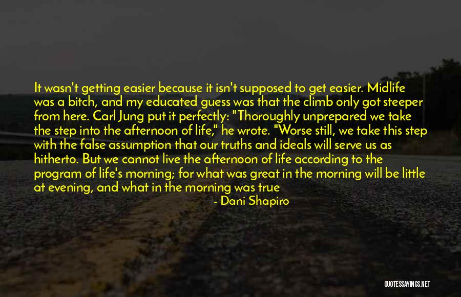 New Step Life Quotes By Dani Shapiro New Step Life Quotes By Dani Shapiro