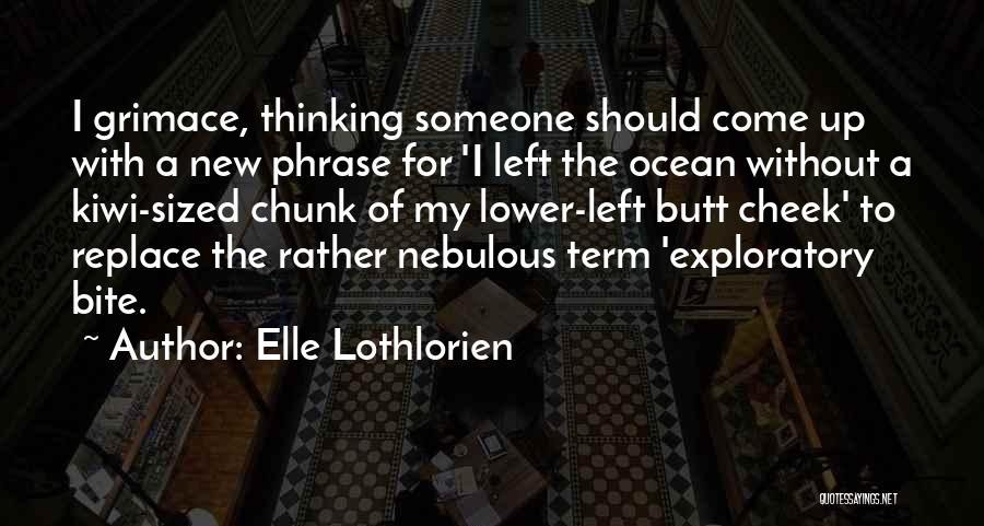 New Term Quotes By Elle Lothlorien