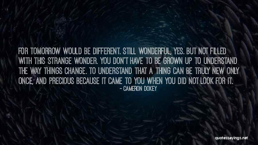 New Things And Change Quotes By Cameron Dokey