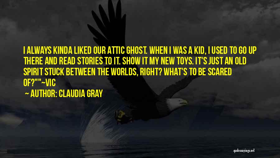 New Toys Quotes By Claudia Gray