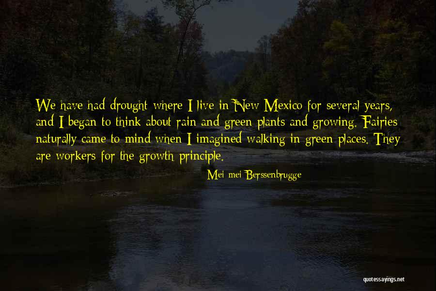 New Workers Quotes By Mei-mei Berssenbrugge New Workers Quotes By Mei-mei Berssenbrugge