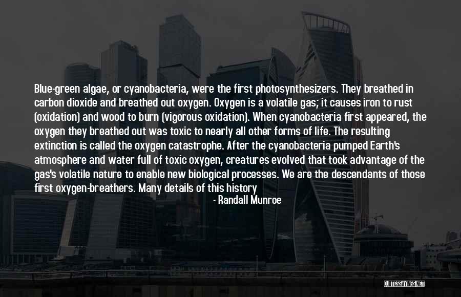 New World History Quotes By Randall Munroe New World History Quotes By Randall Munroe