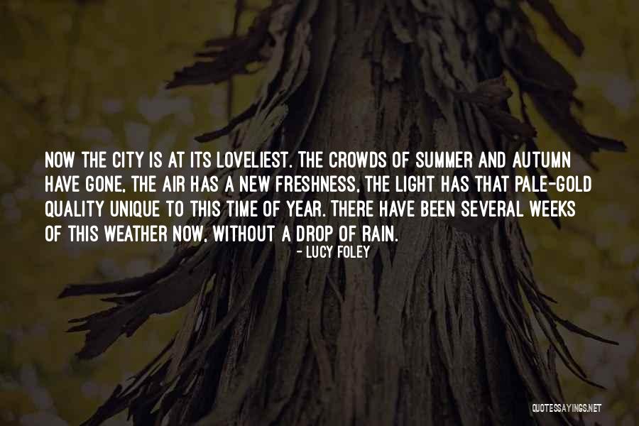 New Year And Light Quotes By Lucy Foley