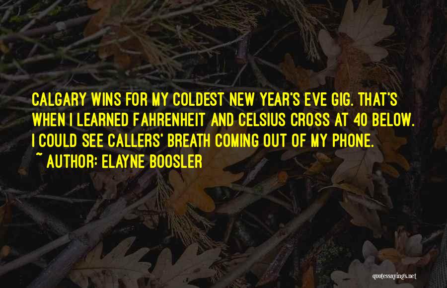 New Year Coming Quotes By Elayne Boosler