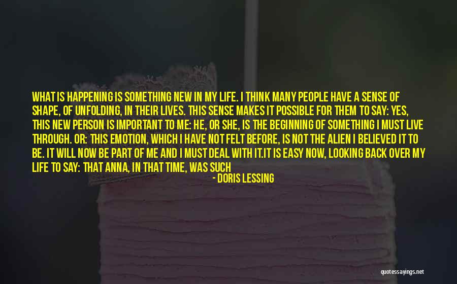 New Year New Beginning Quotes By Doris Lessing