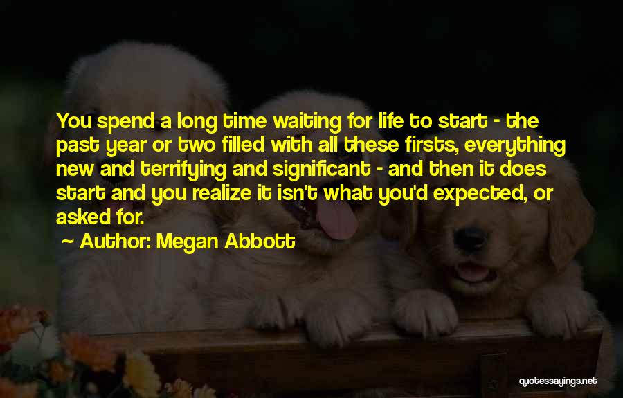 New Year New Life Quotes By Megan Abbott