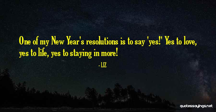 New Years Resolutions Quotes By LIZ