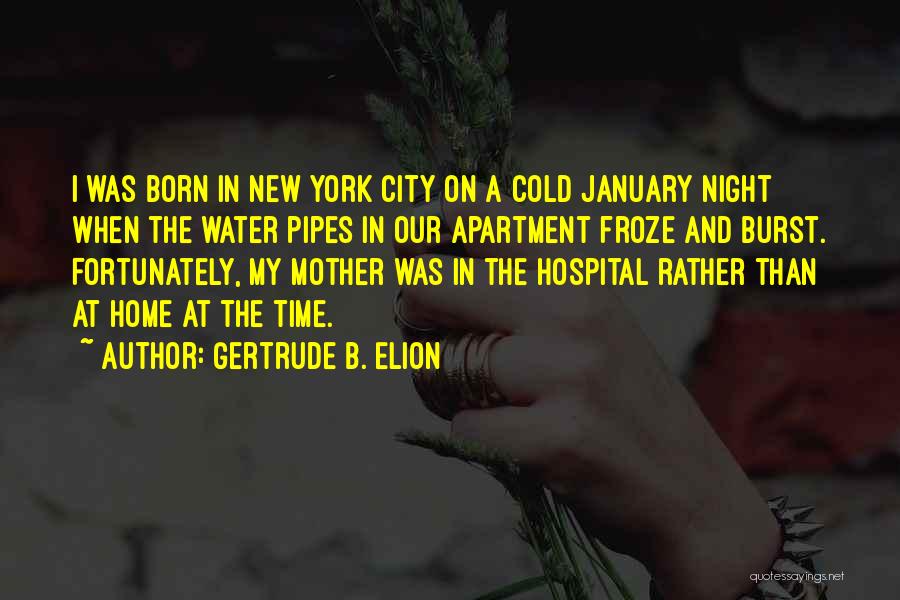 New York At Night Quotes By Gertrude B. Elion