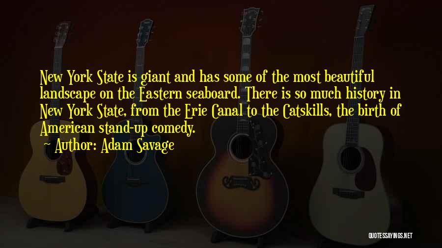 New York Beautiful Quotes By Adam Savage