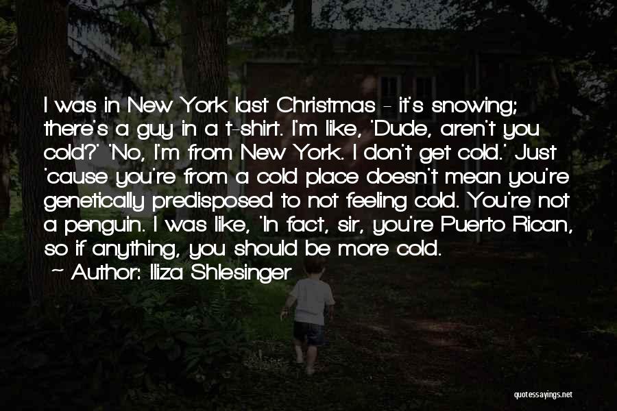 New York Christmas Quotes By Iliza Shlesinger