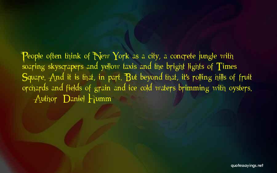 New York City Lights Quotes By Daniel Humm