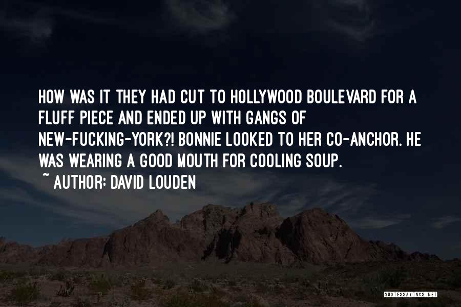 New York Gangs Quotes By David Louden