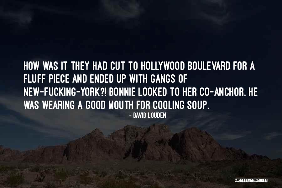 New York Gangs Quotes By David Louden