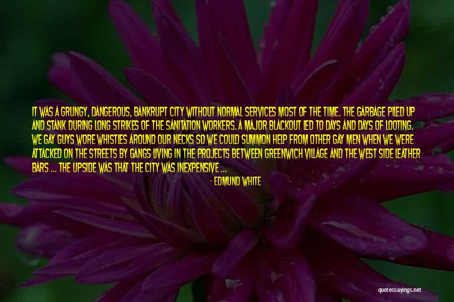 New York Gangs Quotes By Edmund White