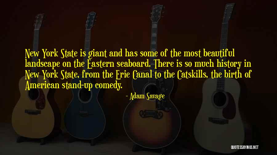 New York Giant Quotes By Adam Savage New York Giant Quotes By Adam Savage