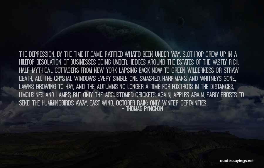 New York In The Rain Quotes By Thomas Pynchon New York In The Rain Quotes By Thomas Pynchon