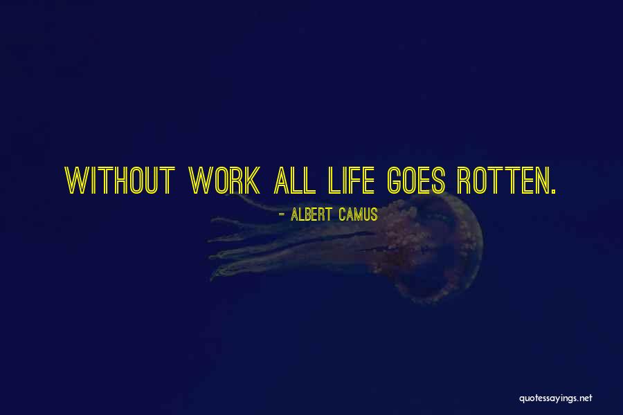 New York Islander Quotes By Albert Camus New York Islander Quotes By Albert Camus