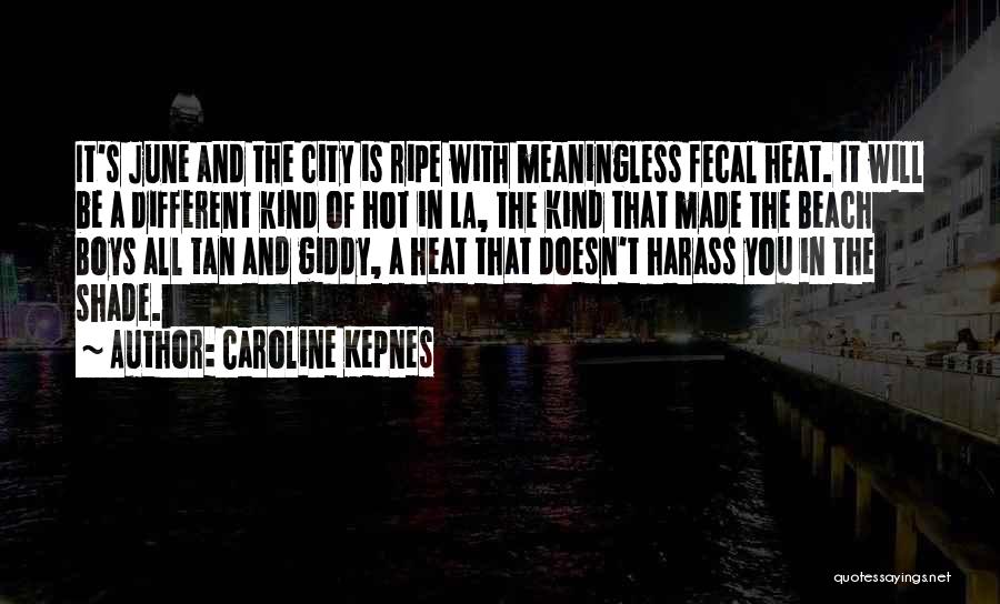 New York La Quotes By Caroline Kepnes