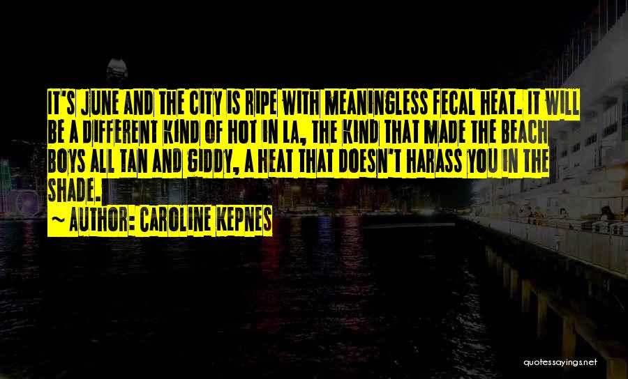 New York Los Angeles Quotes By Caroline Kepnes