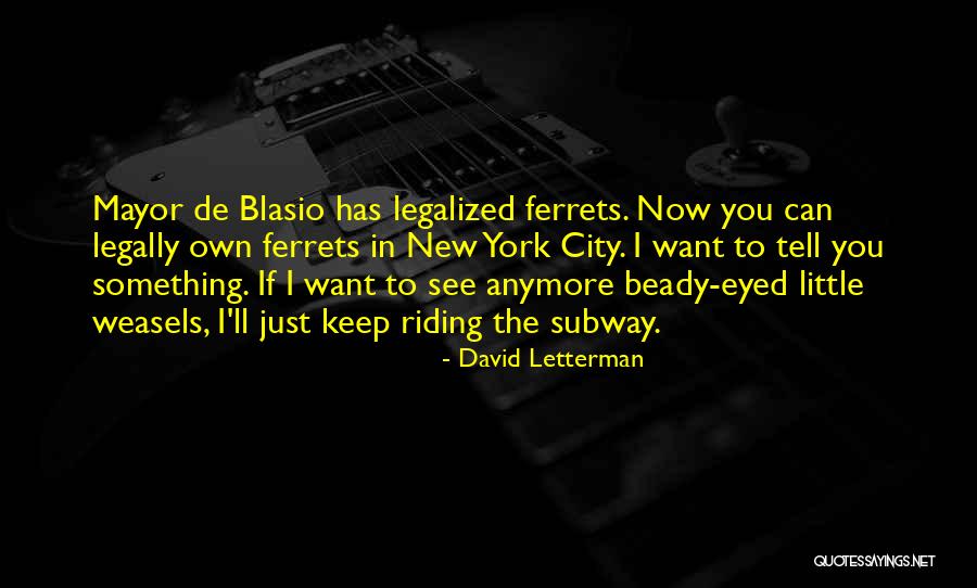 New York Mayor Quotes By David Letterman