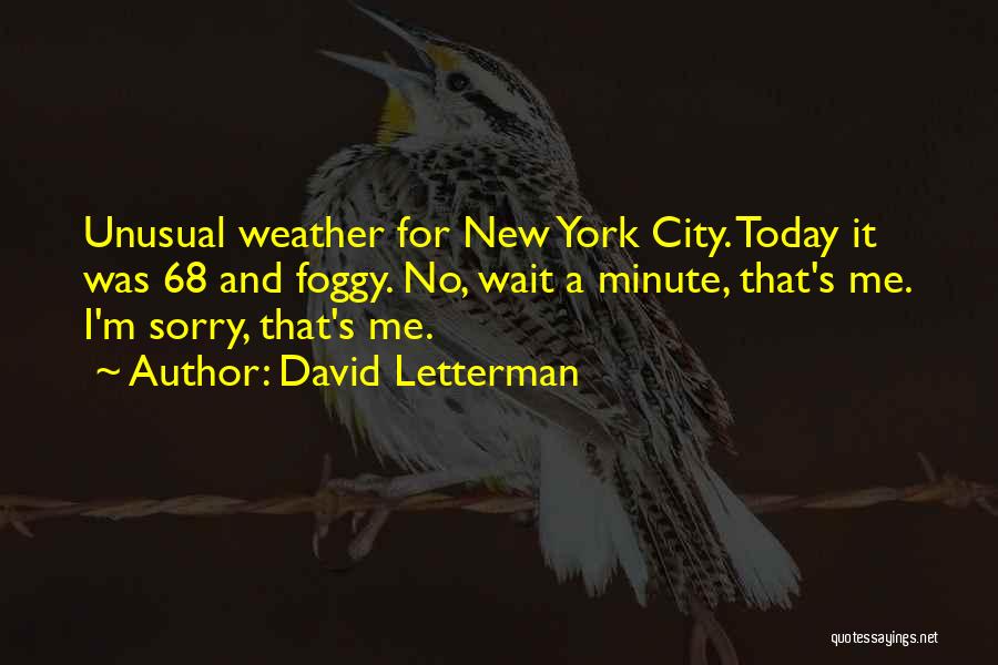 New York Minute Quotes By David Letterman