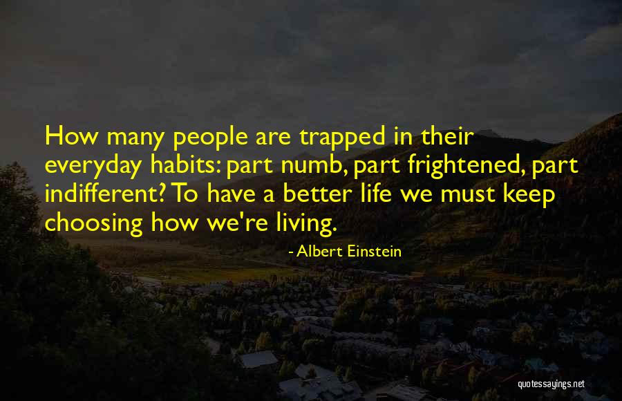 New York State Cuomo Family Quotes By Albert Einstein New York State Cuomo Family Quotes By Albert Einstein