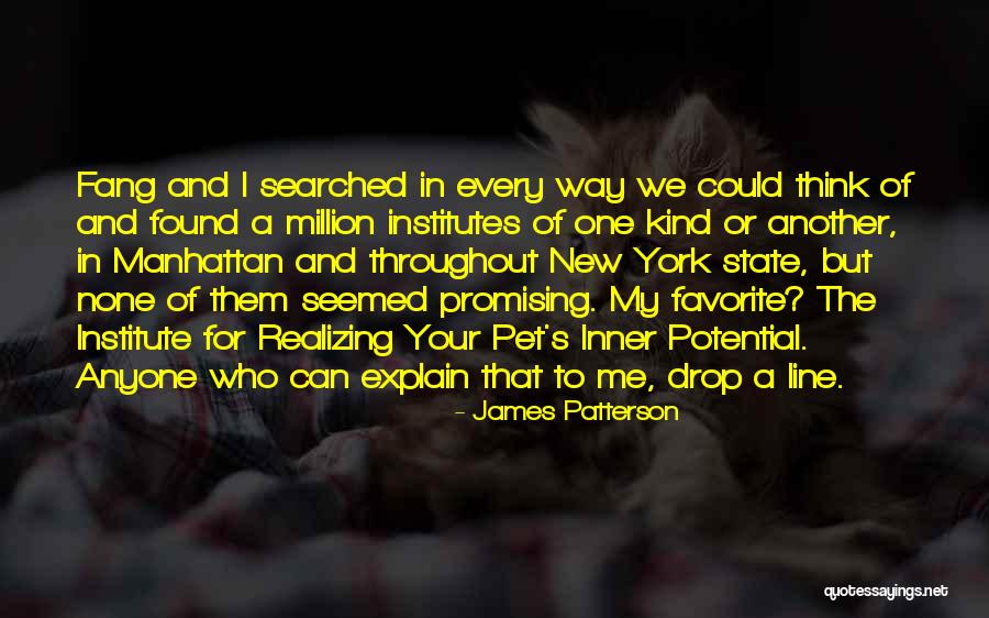 New York State Quotes By James Patterson New York State Quotes By James Patterson