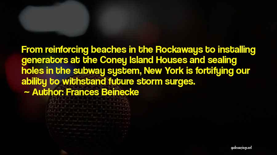 New York Subway Quotes By Frances Beinecke