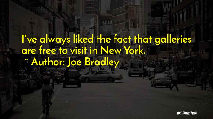 New York Visit Quotes By Joe Bradley