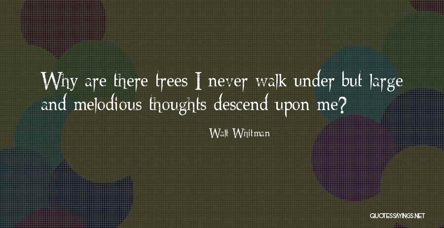 Newbaker Obit Quotes By Walt Whitman Newbaker Obit Quotes By Walt Whitman