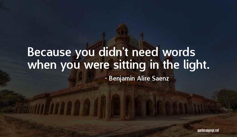 Newbies Guide Quotes By Benjamin Alire Saenz Newbies Guide Quotes By Benjamin Alire Saenz