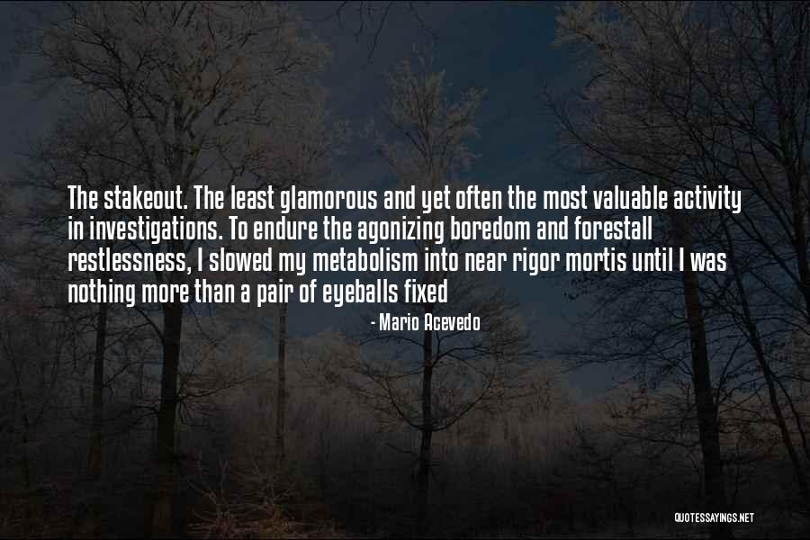 Newbridge Ice Quotes By Mario Acevedo Newbridge Ice Quotes By Mario Acevedo