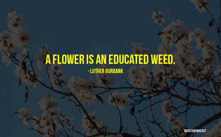 Newfangled Quotes By Luther Burbank