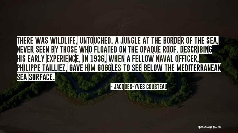 Newholycross Quotes By Jacques-Yves Cousteau Newholycross Quotes By Jacques-Yves Cousteau